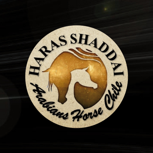 Haras Shaddai
