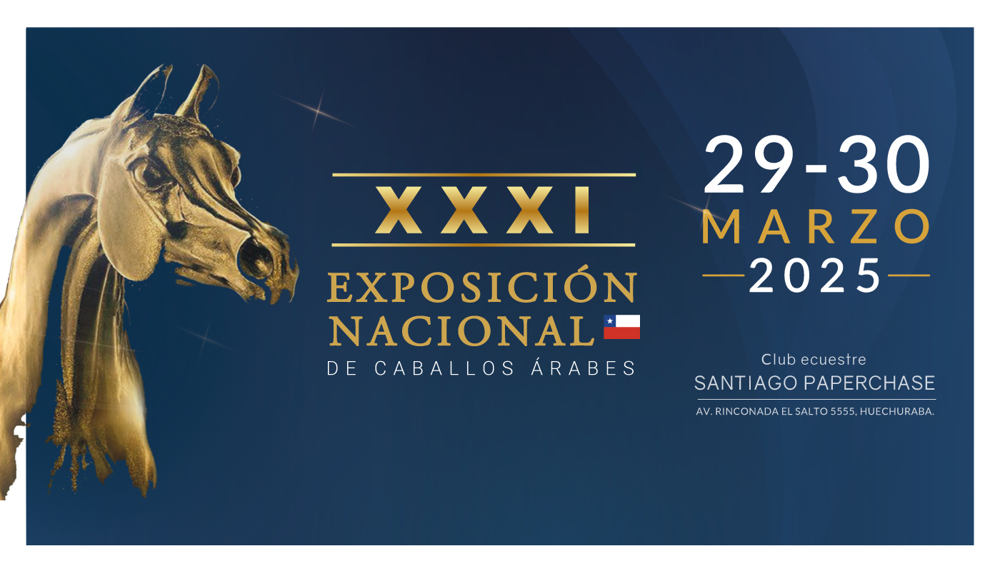 Exposicion nacional del caballo arabe 2025