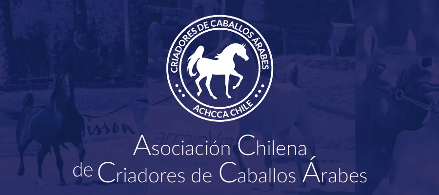 Asociacion chilena de criadores de caballos arabes - achcca